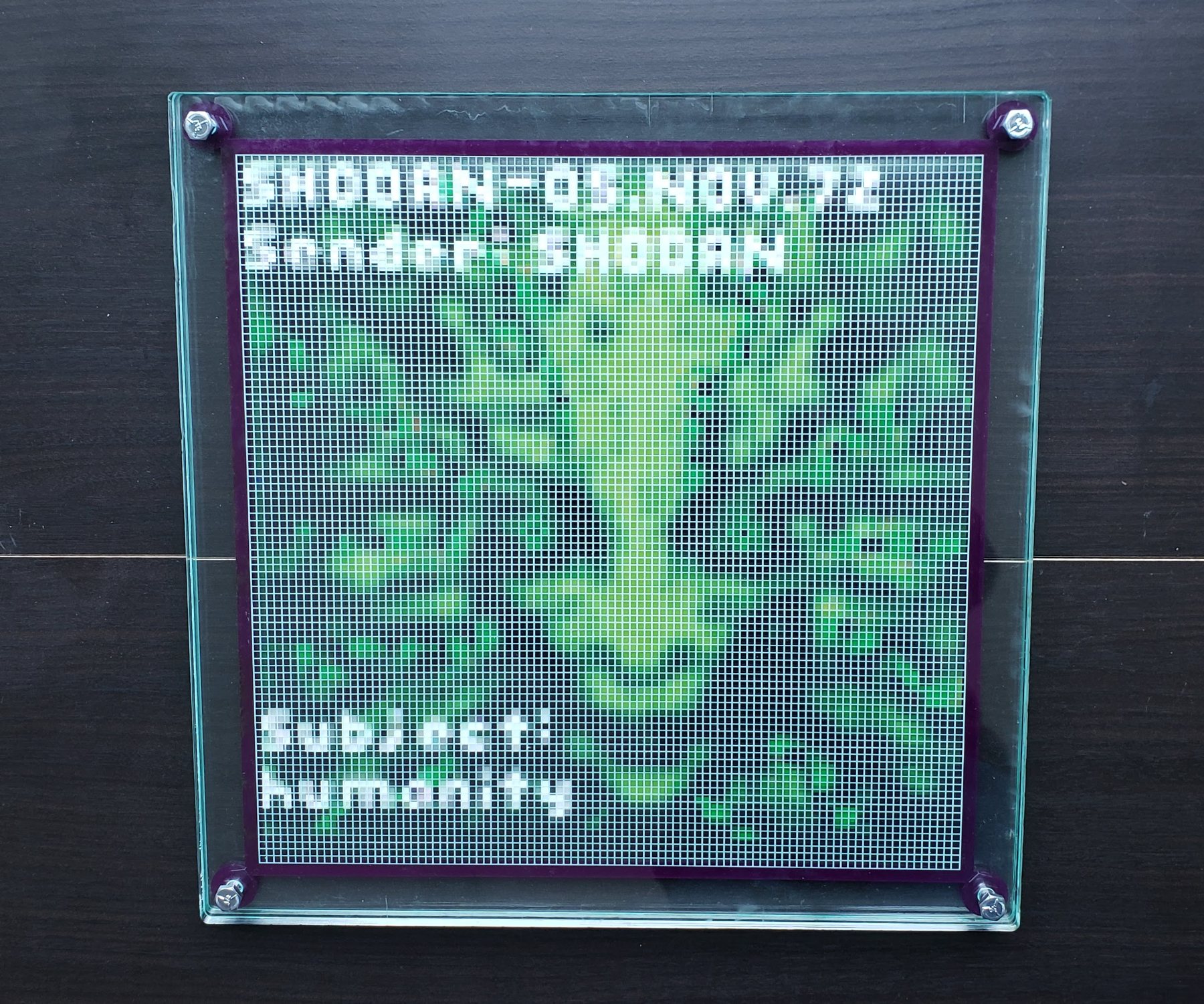 SHODAN - alternate view